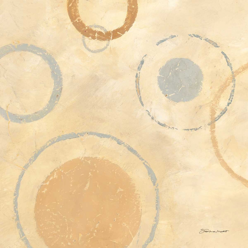 Wall Art Painting id:71412, Name: Circle Collage I, Artist: Marrott, Stephanie