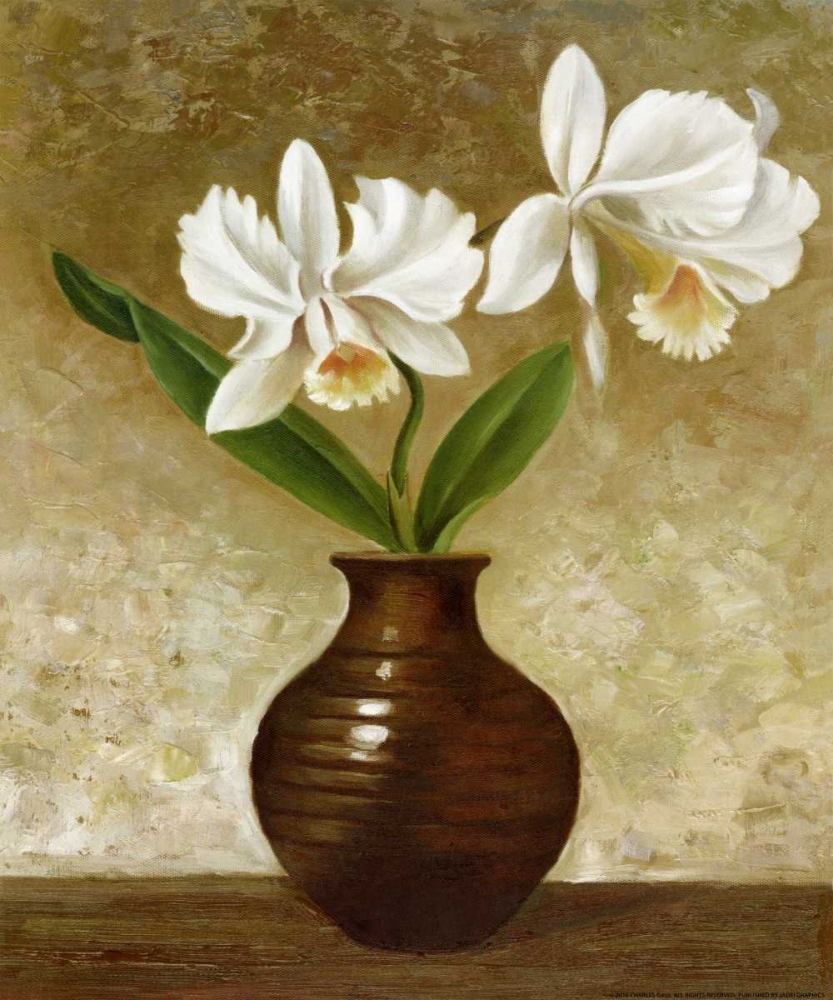 Wall Art Painting id:172505, Name: Flowering Orchid, Artist: Gaul, Charles
