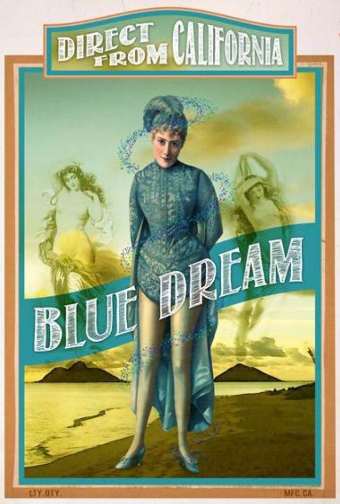 Similar wall art painting: 255922