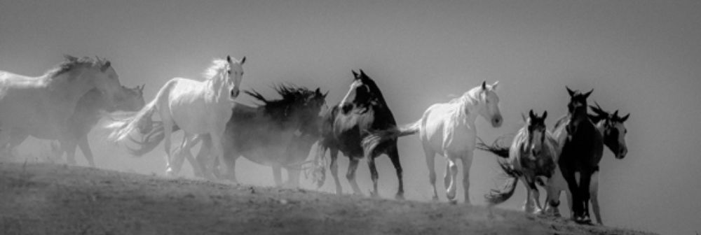 Similar wall art painting: 384719