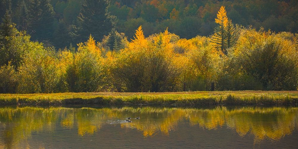 Similar wall art painting: 384720