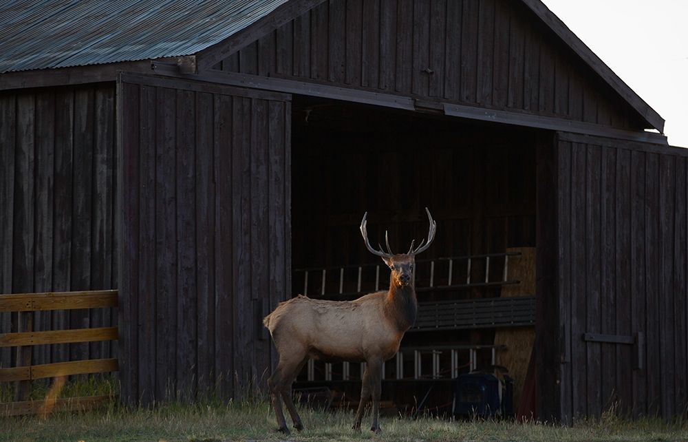 Similar wall art painting: 384722