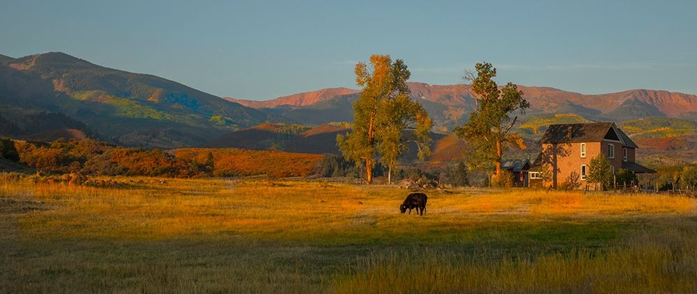 Wall Art Painting id:384724, Name: Fall Grazing, Artist: Linden, Sally