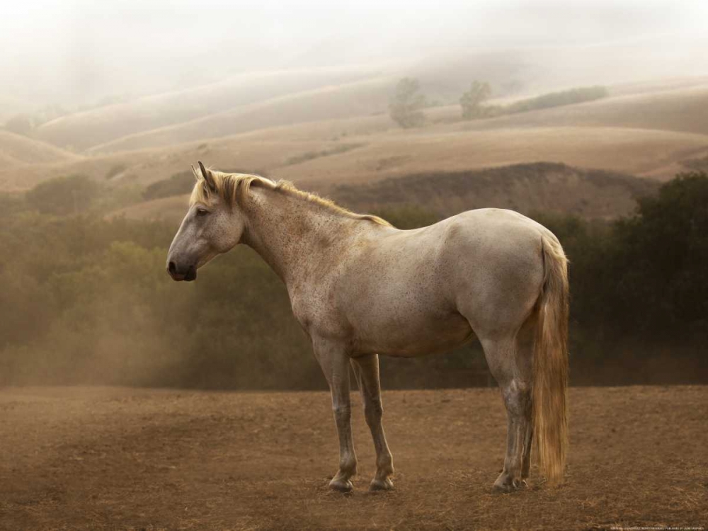 Similar wall art painting: 172592