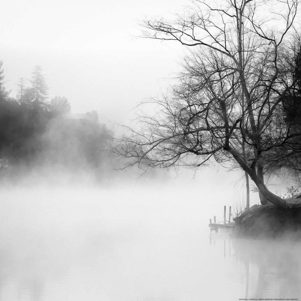 Wall Art Painting id:137428, Name: Fog On The Lake 1, Artist: Linden, Sally