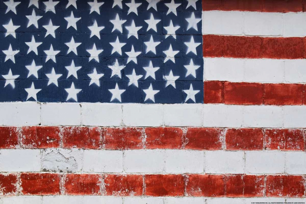 Wall Art Painting id:172674, Name: Flag 14, Artist: Nobleworks, Inc.