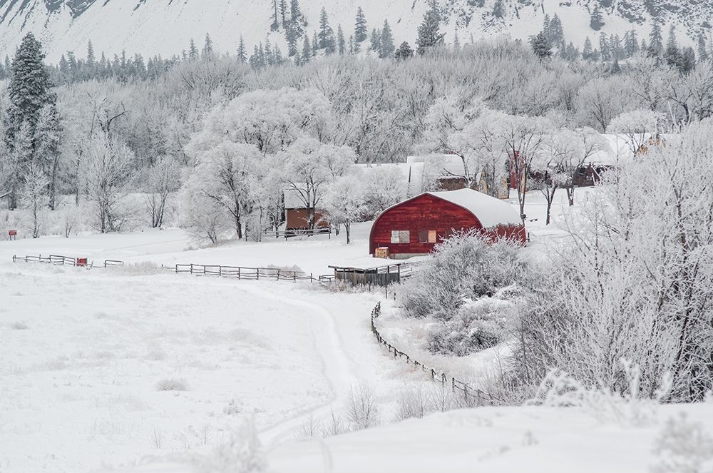 Wall Art Painting id:248168, Name: Dreamy Winter Farm, Artist: Kostka, Vladimir