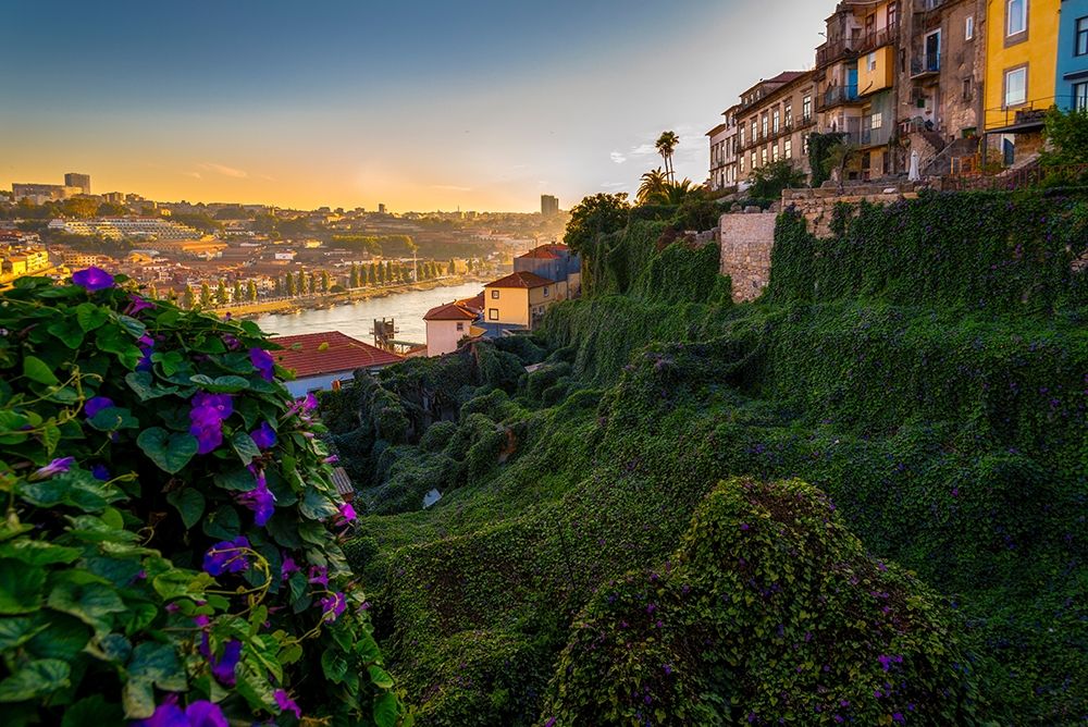 Similar wall art painting: 248181