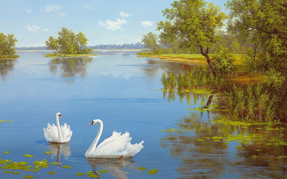 Wall Art Painting id:248531, Name: SWANS ON THE LAKE, Artist: Slava