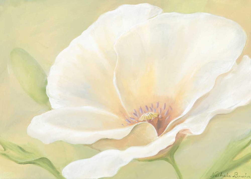 Wall Art Painting id:85280, Name: White flower I, Artist: Boucher, Nathalie