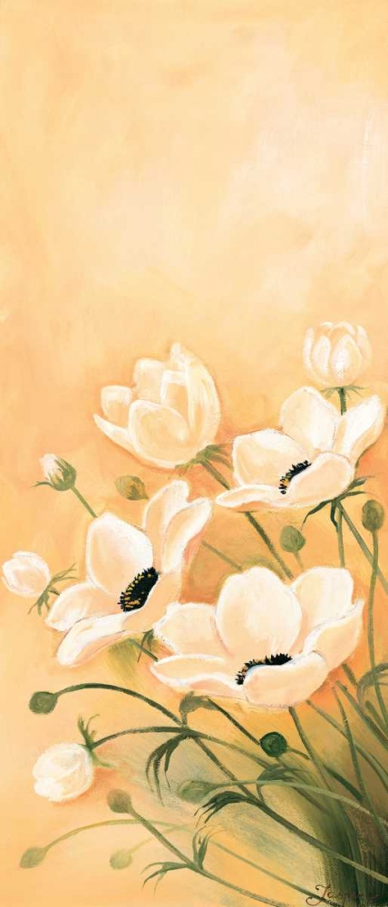 Wall Art Painting id:85282, Name: White poppies 1-3, Artist: Jasper