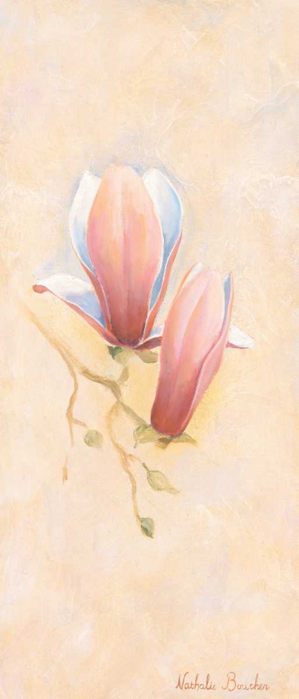 Wall Art Painting id:85297, Name: Pink magnolia 1-3, Artist: Boucher, Nathalie