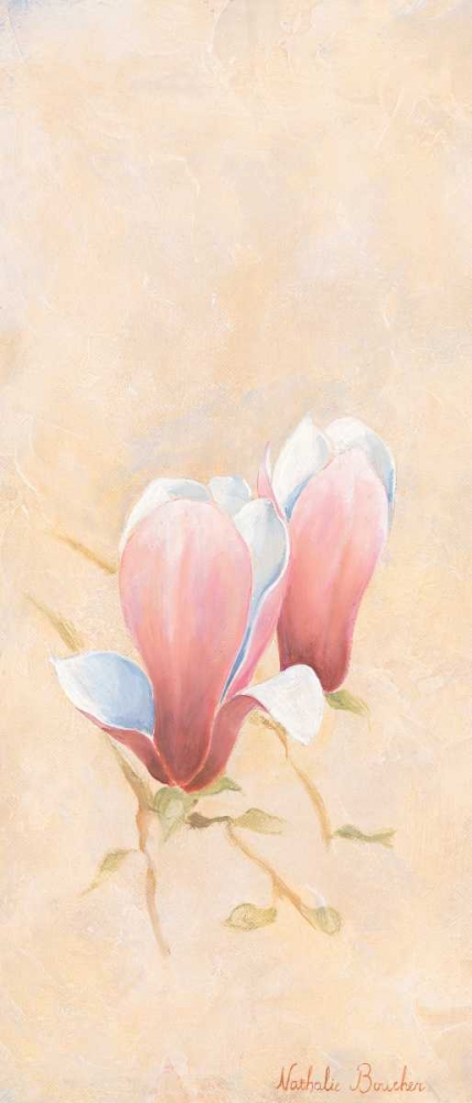 Wall Art Painting id:85299, Name: Pink magnolia 3-3, Artist: Boucher, Nathalie