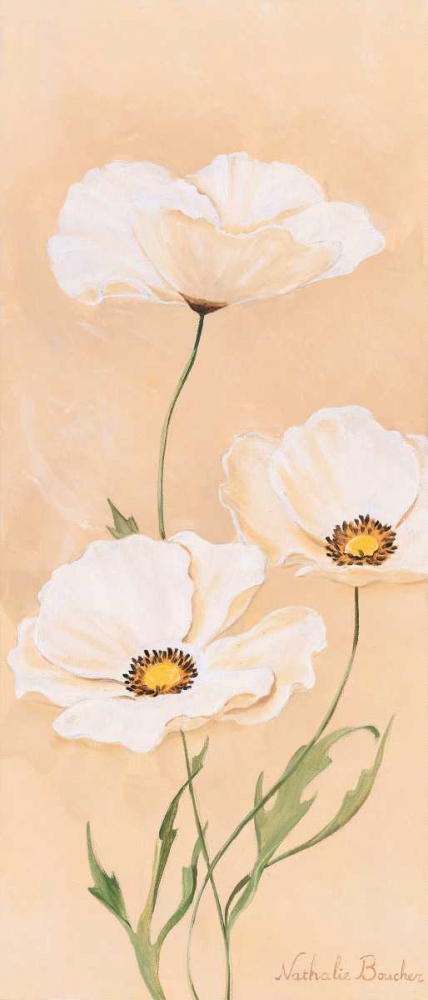 Wall Art Painting id:85509, Name: White poppy I, Artist: Boucher, Nathalie