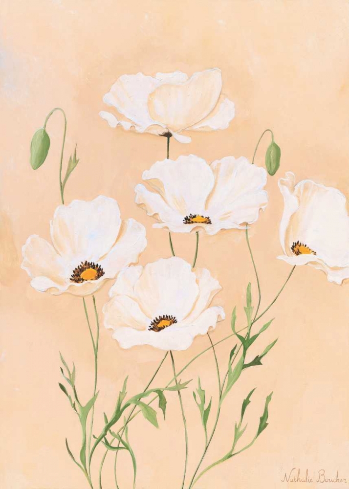 Wall Art Painting id:85510, Name: White poppy II, Artist: Boucher, Nathalie