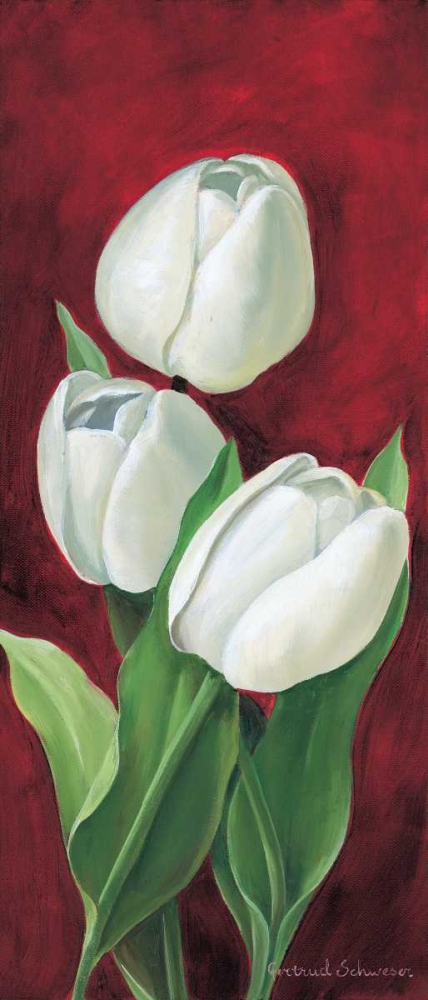 Art Print: Tulips on burdundy III