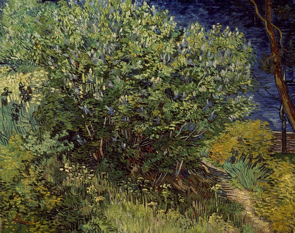 Wall Art Painting id:269844, Name: Lilac Bush, 1889, Artist: Van Gogh, Vincent