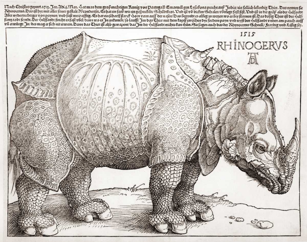 Wall Art Painting id:88879, Name: The Rhinoceros, Artist: Durer, Albrecht
