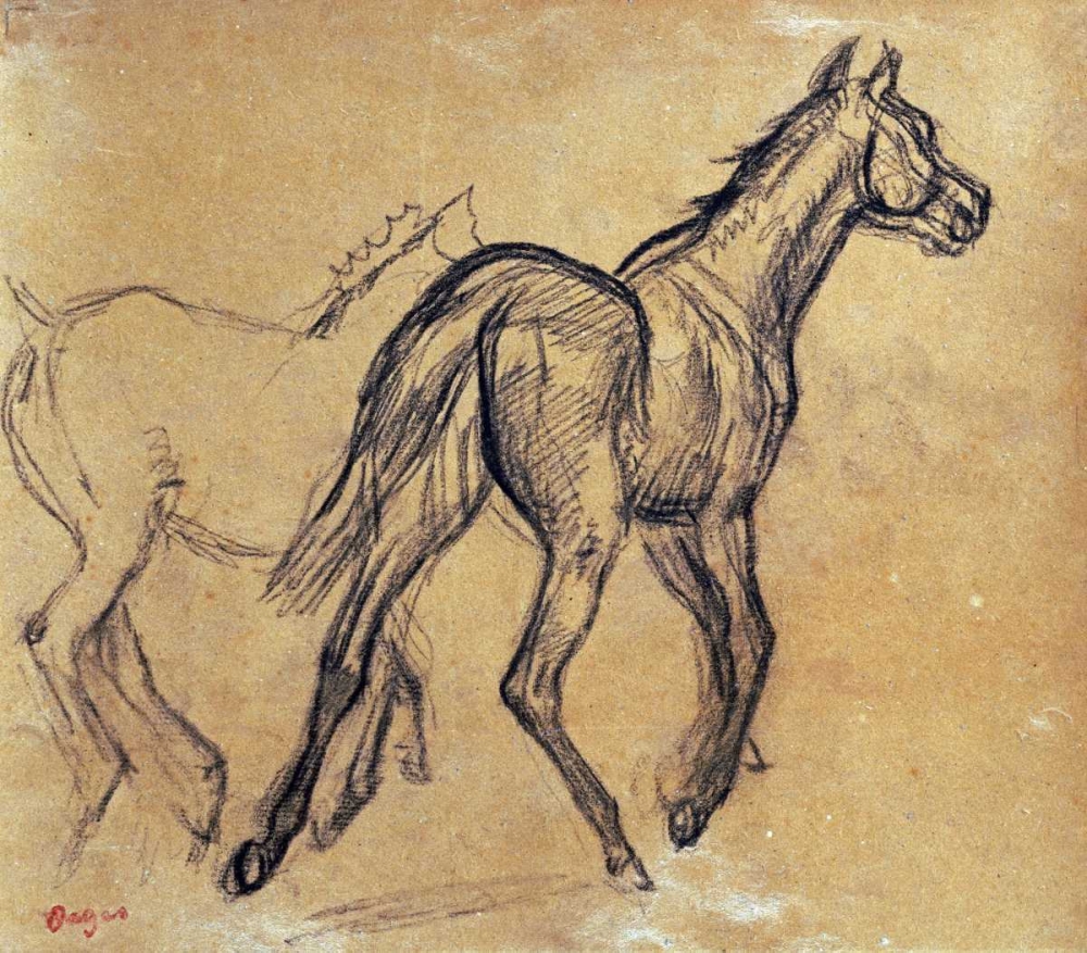 Wall Art Painting id:89513, Name: Horses, Artist: Degas, Edgar