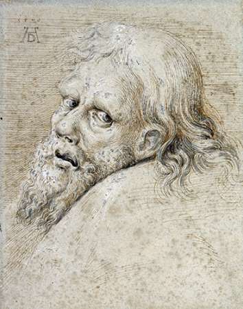 Wall Art Painting id:185255, Name: The Head of a Bearded Man, Artist: Durer, Albrecht