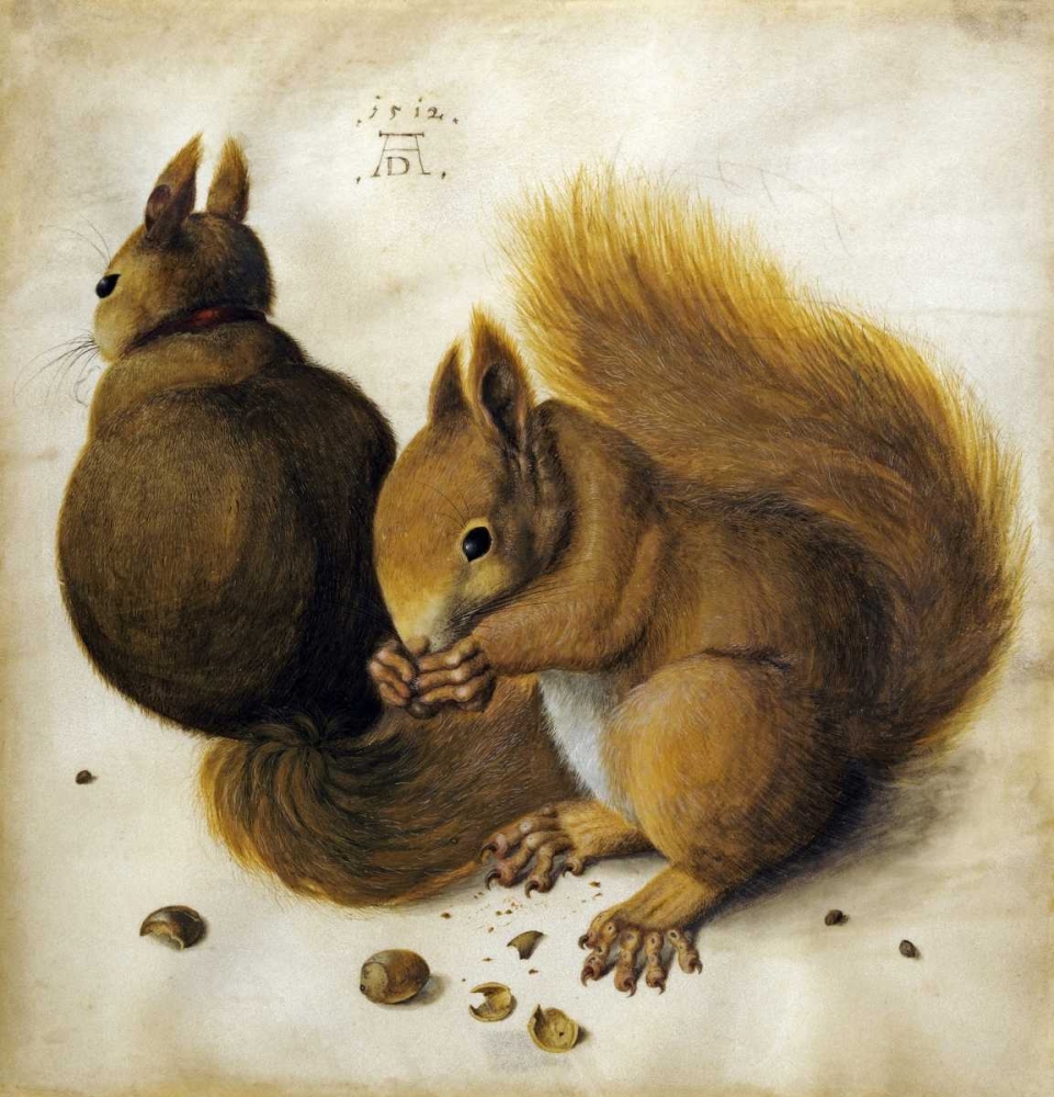 Wall Art Painting id:89671, Name: Two Squirrels, One Eating a Hazelnut, Artist: Durer, Albrecht