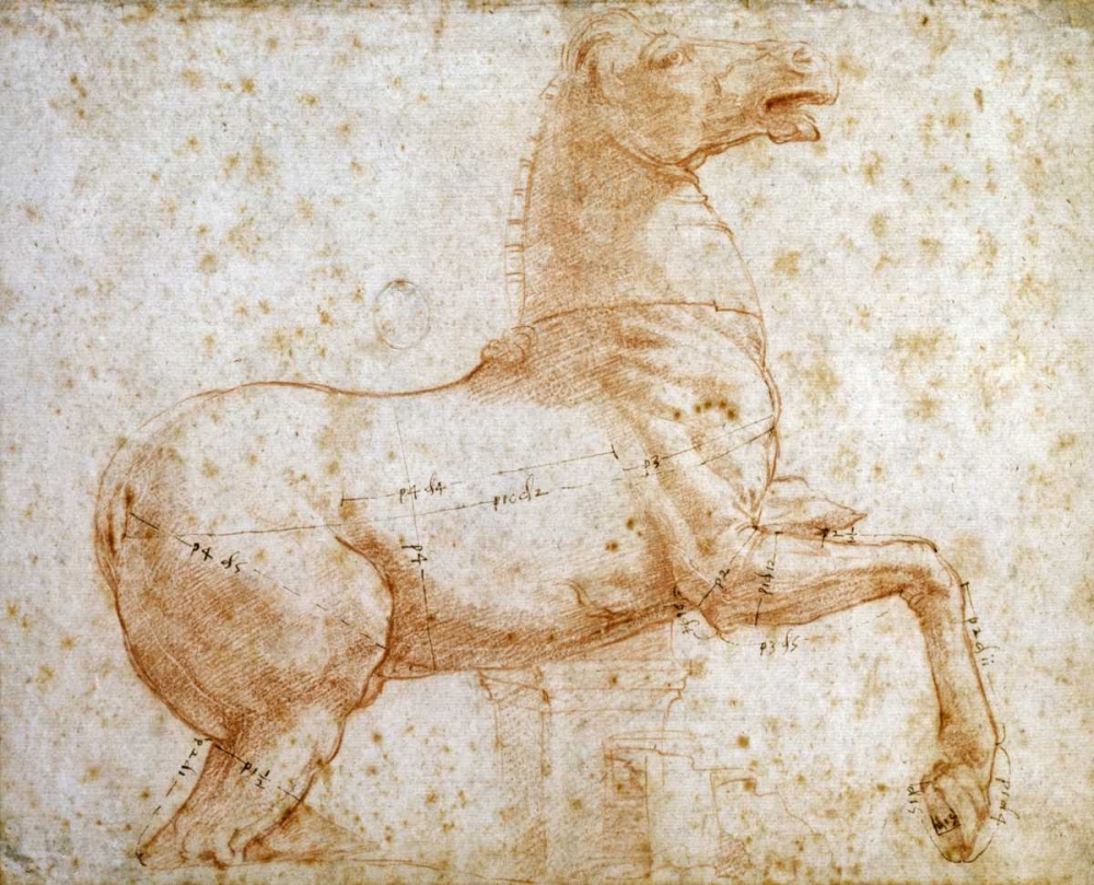 Wall Art Painting id:89983, Name: Study of One of The Quirinal Marble Horses, Artist: Raphael
