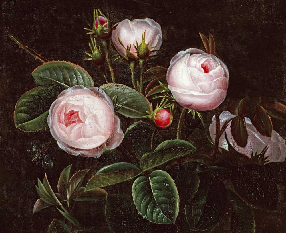 Wall Art Painting id:90436, Name: Pink Roses, Artist: Jensen, Johan Laurents