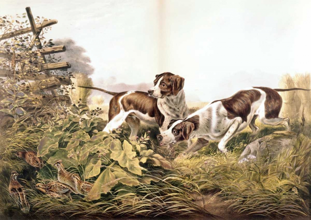 Wall Art Painting id:90866, Name: American Field Sports. On a Point., Artist: Currier and Ives
