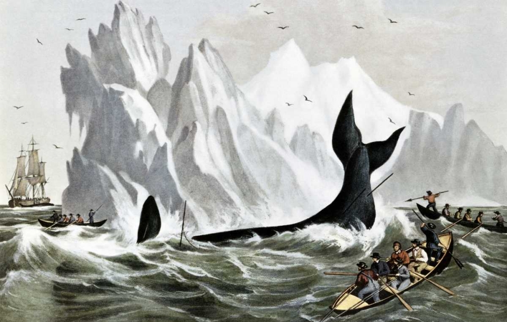 Wall Art Painting id:90871, Name: Capturing The Whale, Artist: Currier and Ives