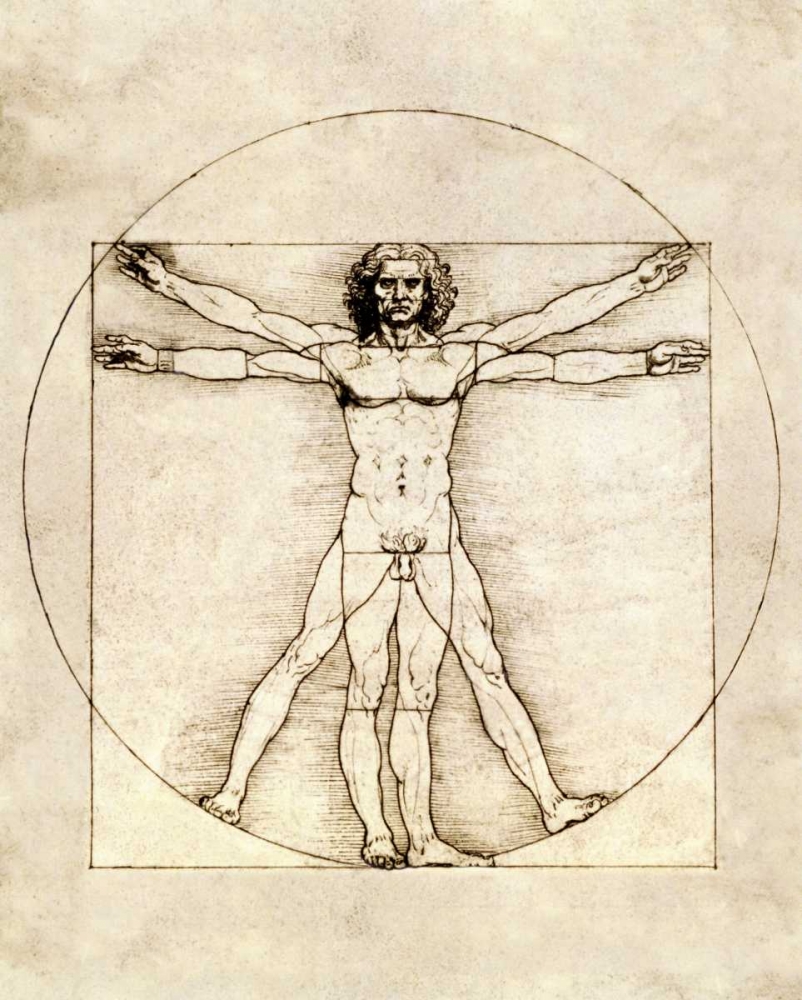 Wall Art Painting id:90923, Name: Proportions of the Human Figure - Vitruvian Man, Artist: Da Vinci, Leonardo