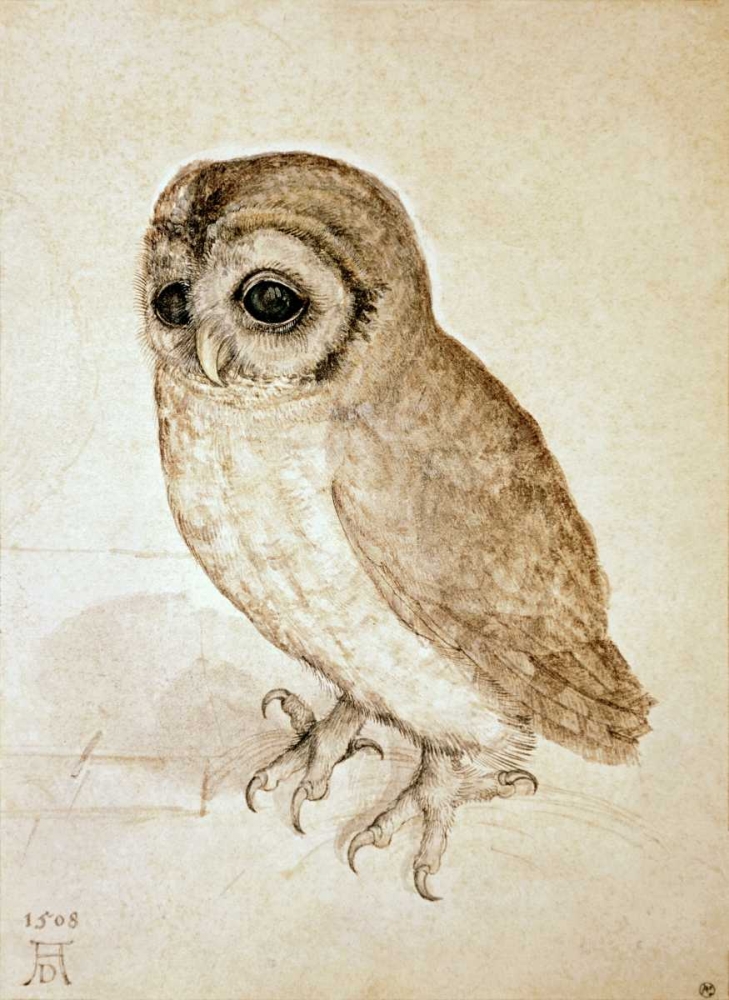 Wall Art Painting id:90989, Name: Screech Owl, Artist: Durer, Albrecht
