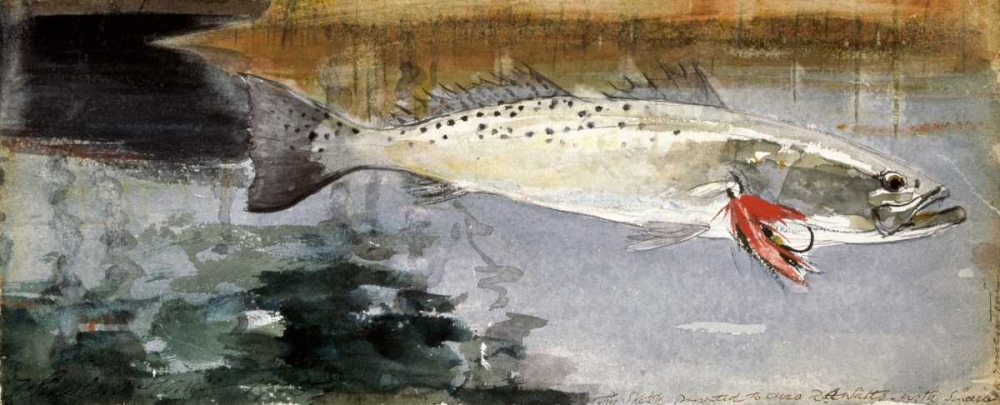 Wall Art Painting id:91172, Name: Mrs. R. H. Watts Trout, Artist: Homer, Winslow