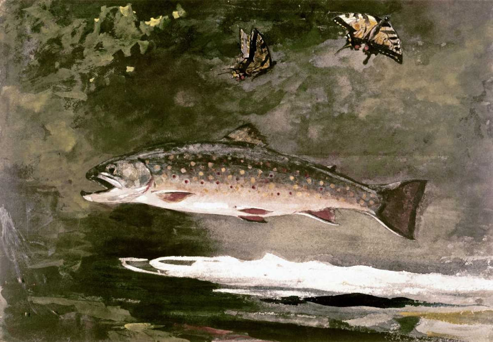 Wall Art Painting id:91179, Name: Trout, Artist: Homer, Winslow