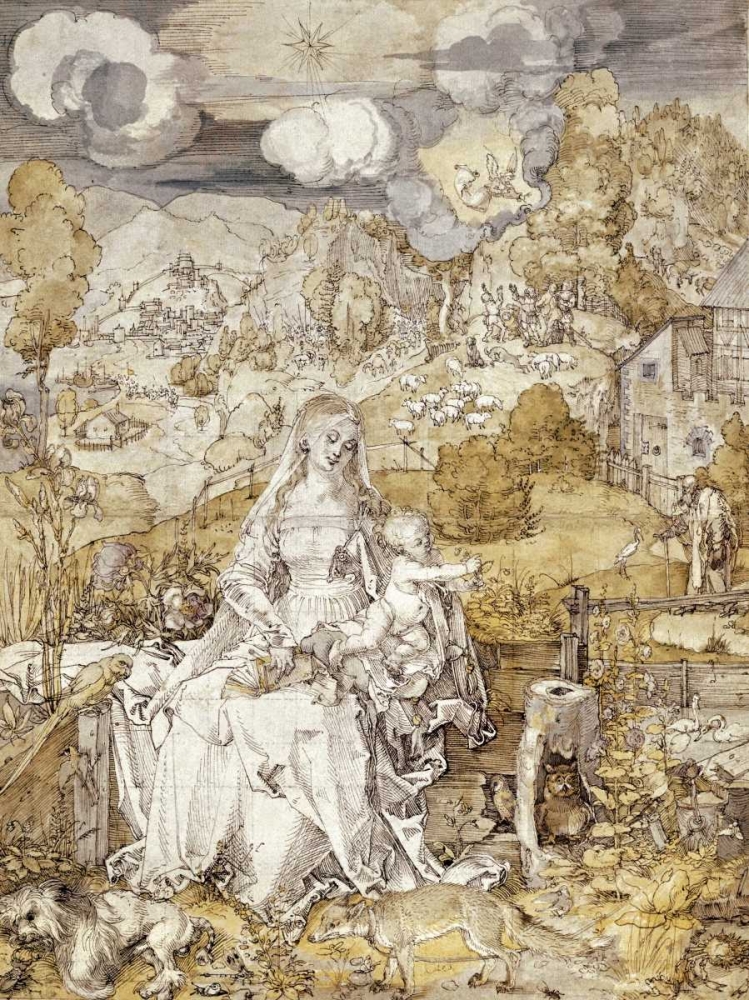 Wall Art Painting id:91586, Name: The Virgin with Animals, 1503, Artist: Durer, Albrecht