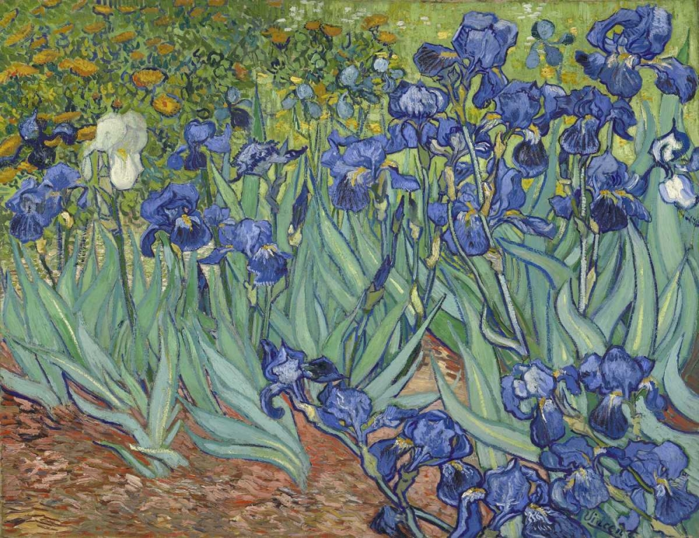 Wall Art Painting id:91752, Name: Irises, 1889, Artist: Van Gogh, Vincent