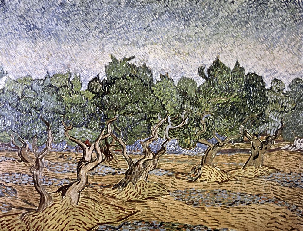 Wall Art Painting id:269851, Name: Olive Orchard, Violet Soil, Artist: Van Gogh, Vincent