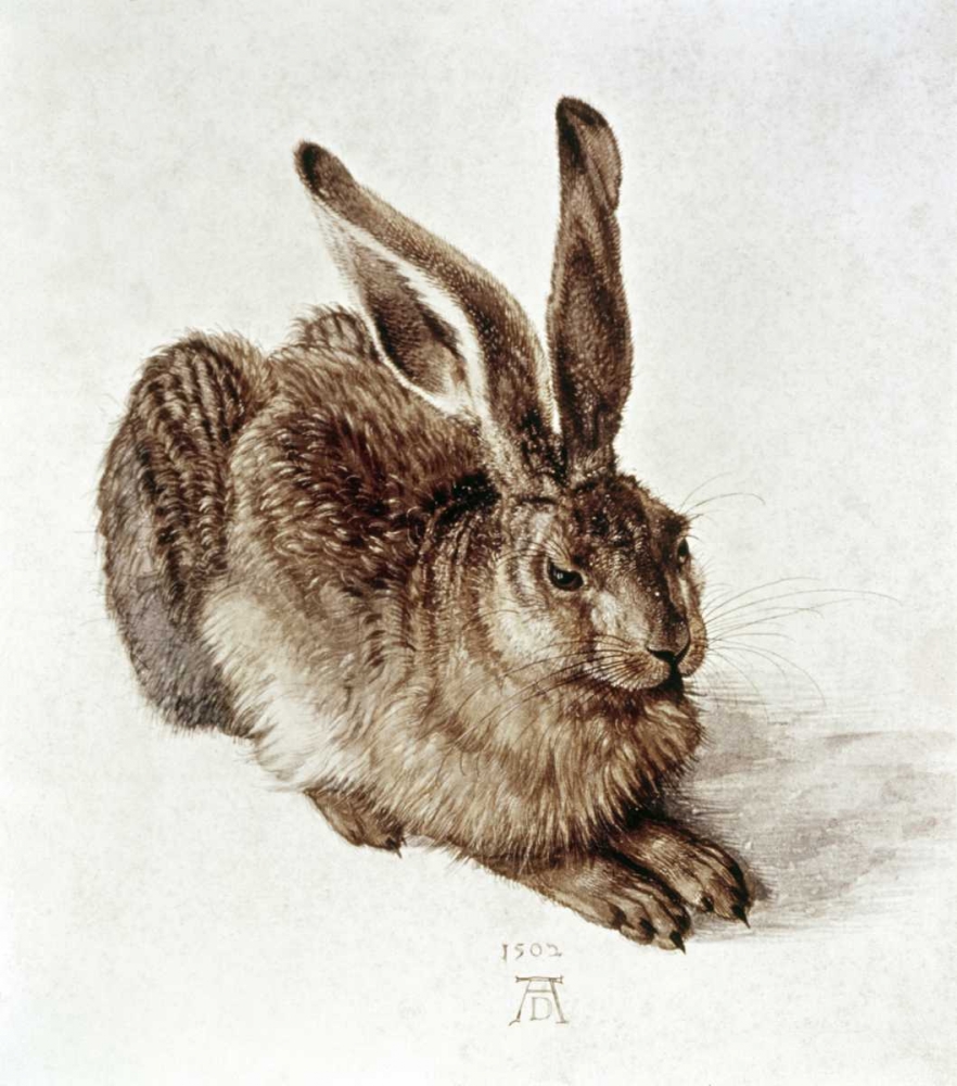 Wall Art Painting id:91972, Name: The Young Hare, Artist: Durer, Albrecht