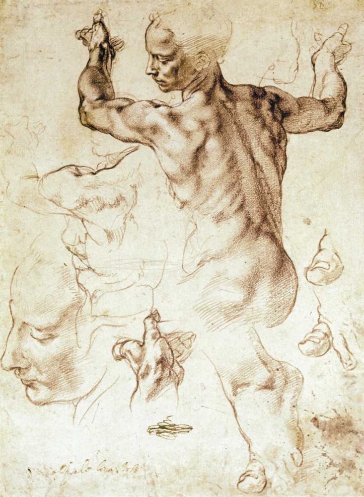 Wall Art Painting id:92058, Name: Anatomy Sketches - Libyan Sibyl, Artist: Michelangelo