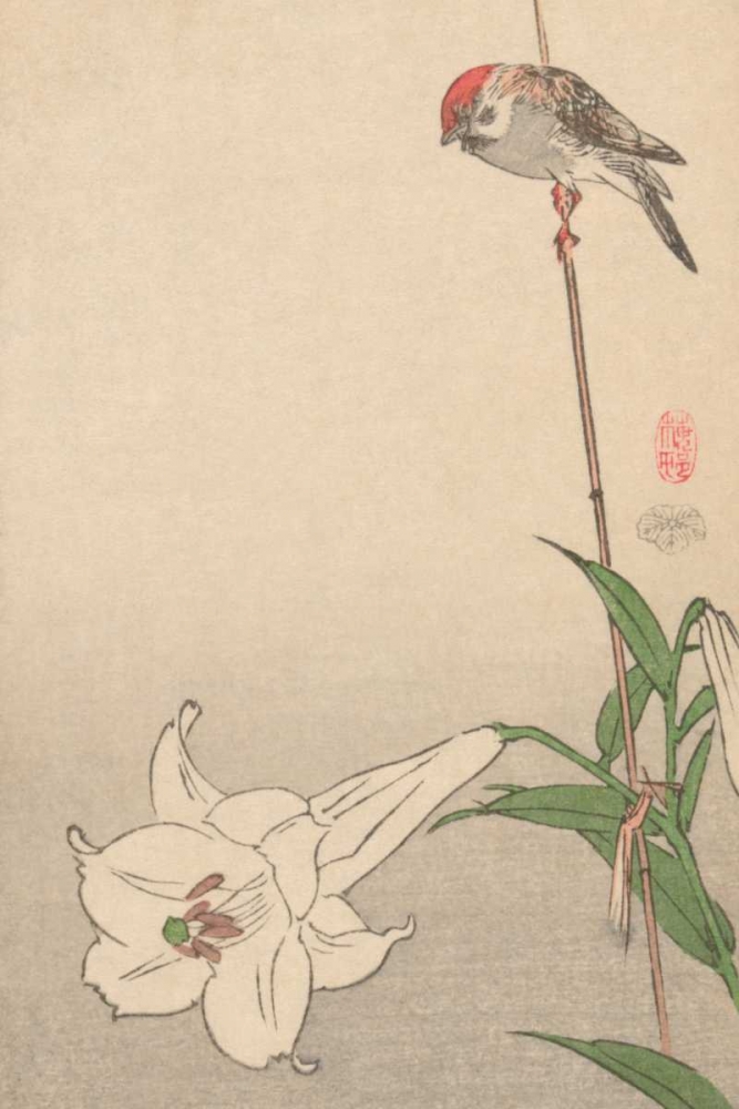 Wall Art Painting id:96007, Name: Small bird on lily plant., 1893, Artist: Baison