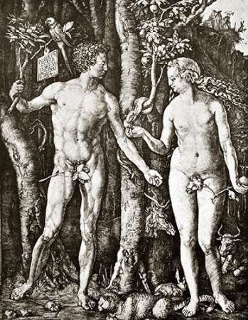 Wall Art Painting id:187472, Name: Adam And Eve, Artist: Durer, Albrecht