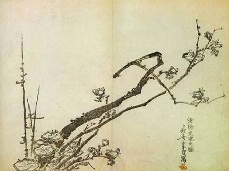Wall Art Painting id:187635, Name: A Branch Of Plum 1798, Artist: Hokusai
