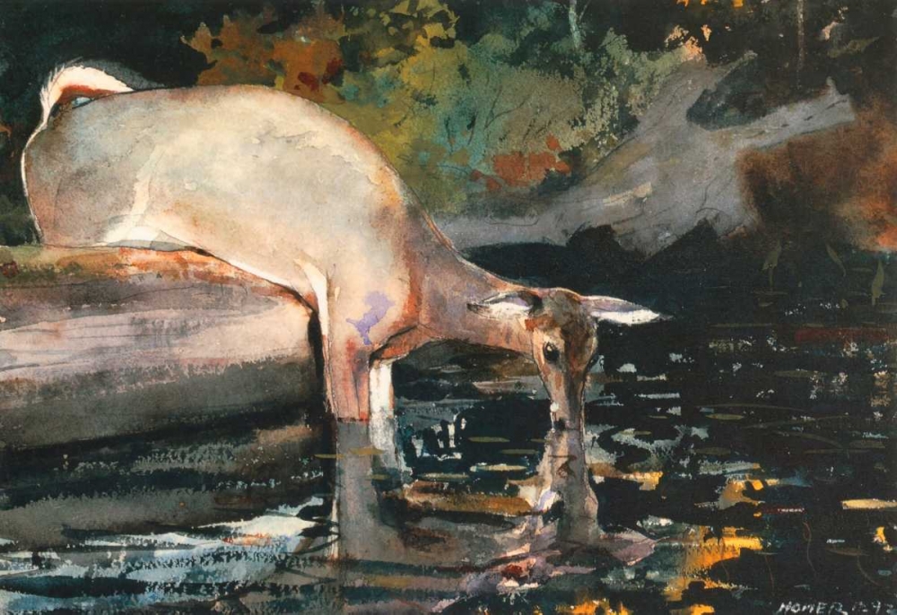 Wall Art Painting id:92550, Name: Deer Drinking, Artist: Homer, Winslow