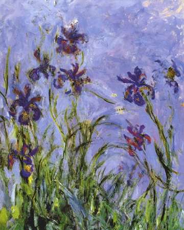 Wall Art Painting id:187994, Name: Irises (detail), Artist: Monet, Claude