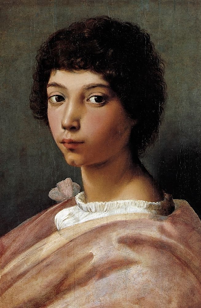 Wall Art Painting id:268428, Name: Portrait Of A Young Man, Artist: Raphael