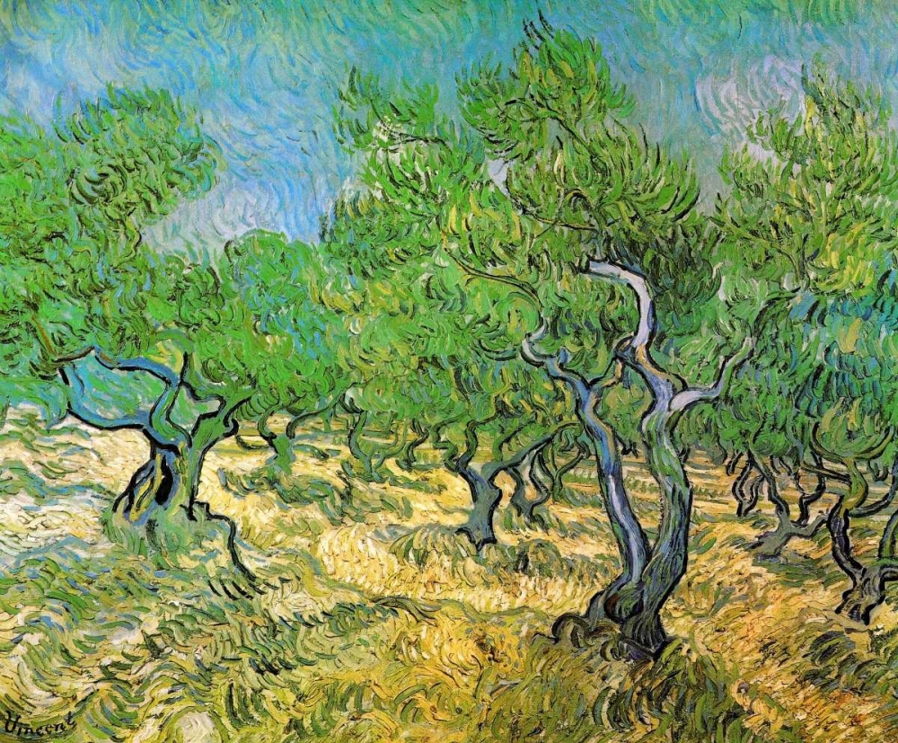 Wall Art Painting id:92941, Name: Olive Grove, Artist: Van Gogh, Vincent