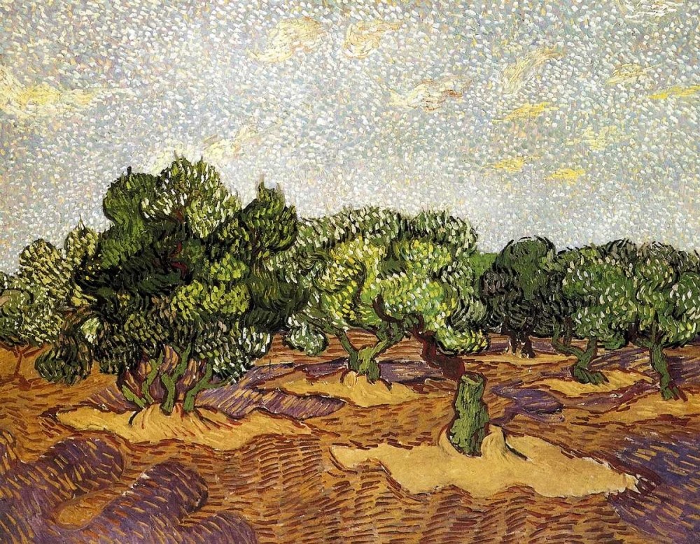 Wall Art Painting id:92942, Name: Olive Grove Pale Blue Sky, Artist: Van Gogh, Vincent