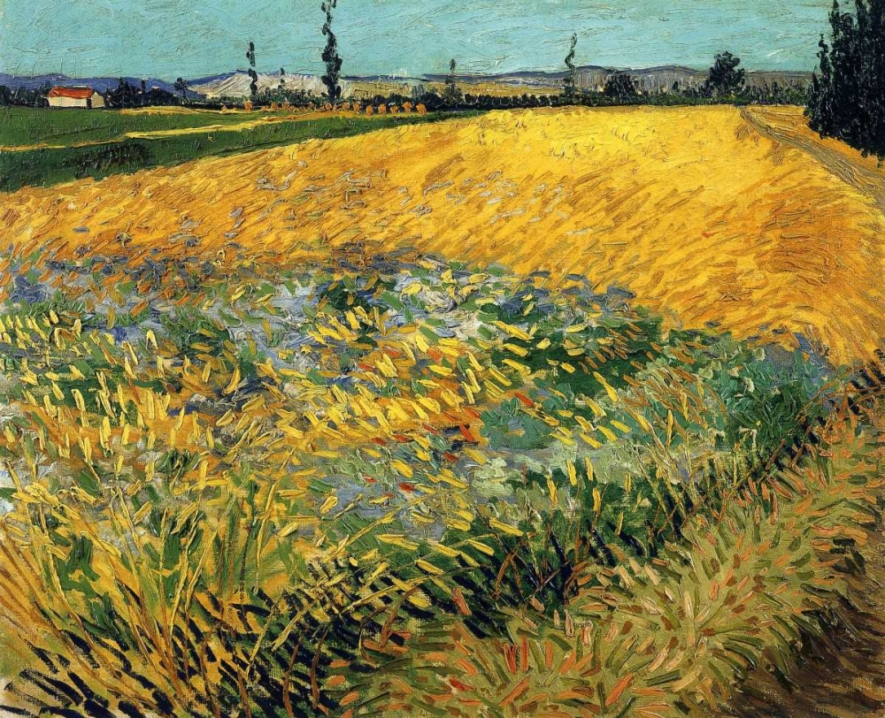 Wall Art Painting id:92974, Name: Wheatfield 1888, Artist: Van Gogh, Vincent