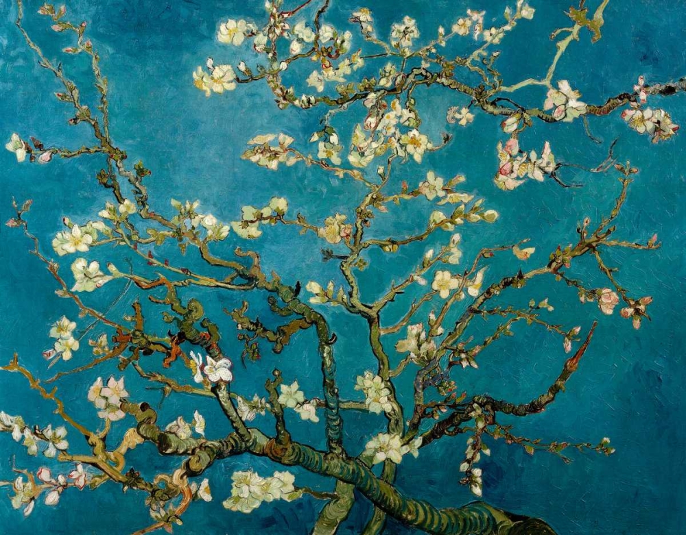 Art Print: Blossoming Almond Tree