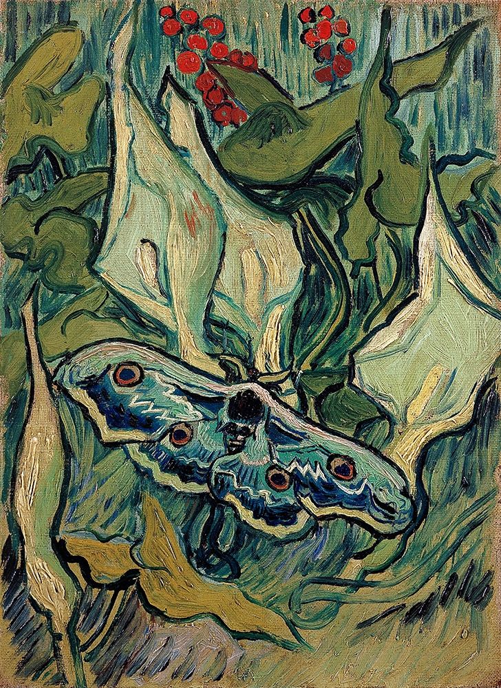 Wall Art Painting id:263654, Name: Emperor Moth, Artist: Van Gogh, Vincent