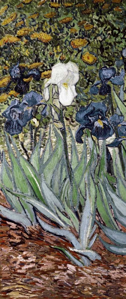 Wall Art Painting id:93080, Name: Irises - left, Artist: Van Gogh, Vincent